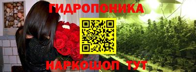 индика Нягань