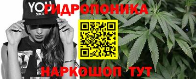 a pvp Обнинск