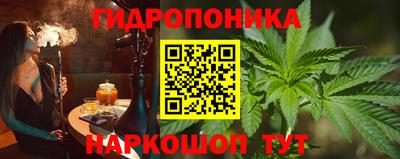 индика Нягань