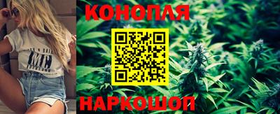 a pvp Обнинск